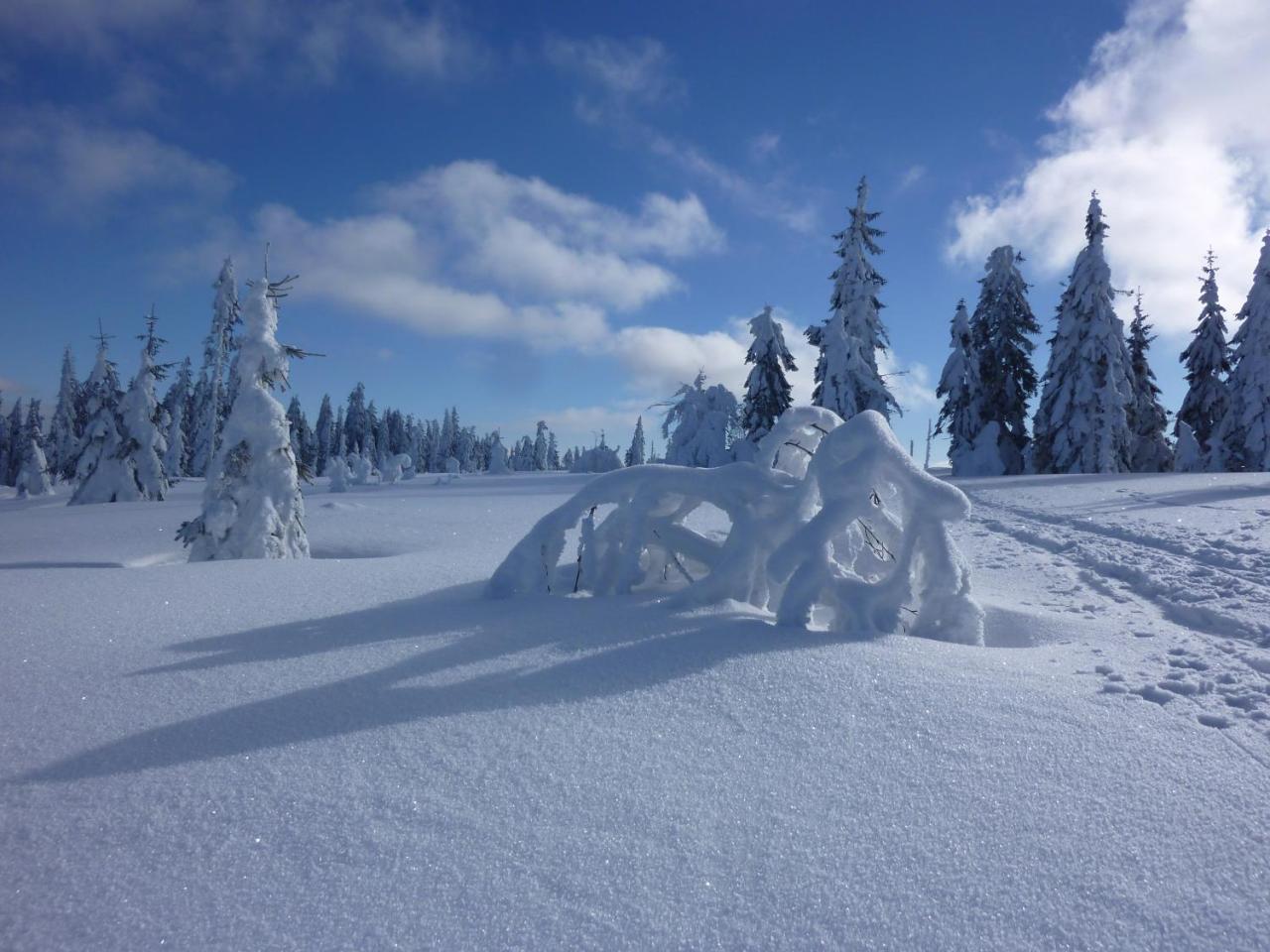 Hotel Zur Waldbahn Zwiesel Exteriör bild